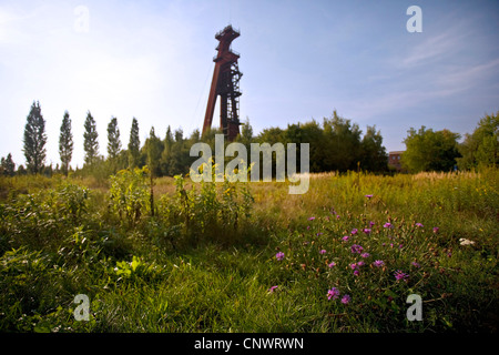 Industriebrache auf dem Gelände des ehemaligen mine Monopol, Kopfbedeckungen im Hintergrund Kamen, Ruhrgebiet, Nordrhein-Westfalen, Deutschland Stockfoto