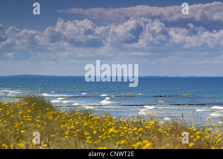 Blick zur Ostsee, Deutschland, Mecklenburg-Vorpommern, Hiddensee Stockfoto