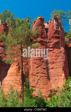 Die ockerfarbenen Felsen des Roussillon, Frankreich, Languedoc-Roussillon, Provence, Roussillon Stockfoto