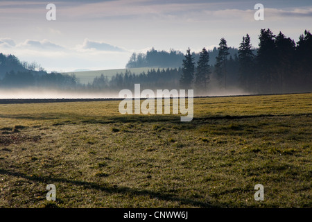 Morgennebel über Wiesen und Felder, Deutschland, Sachsen, Vogtlaendische Schweiz Stockfoto