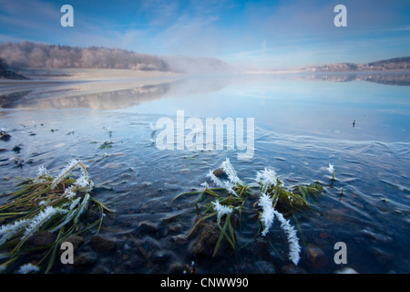 gefrorene Morgennebel am See, Deutschland, Sachsen, Vogtland, Talsperre Poehl Stockfoto