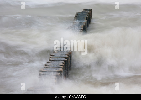 Sporn Deich im Sturm, Darß, Wustrow, Mecklenburg-Vorpommern, Deutschland Stockfoto