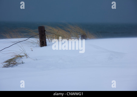 schneebedeckte Dünen im Sturm, Darß, Wustrow, Mecklenburg-Vorpommern, Deutschland Stockfoto