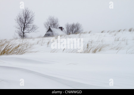 Haus in schneebedeckte Dünen, Darß, Wustrow, Mecklenburg-Vorpommern, Deutschland Stockfoto