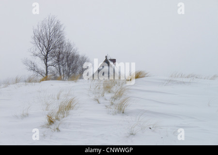 Haus in schneebedeckte Dünen, Darß, Wustrow, Mecklenburg-Vorpommern, Deutschland Stockfoto