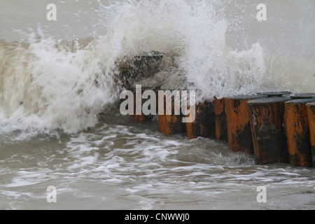 Sporn Deich im Sturm, Darß, Wustrow, Mecklenburg-Vorpommern, Deutschland Stockfoto