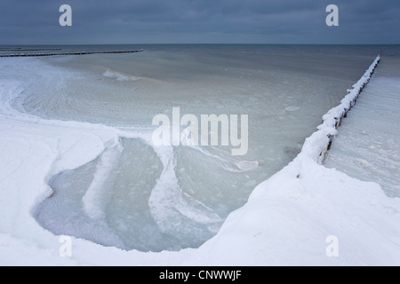 schneebedeckte Sporn Deich, Darß, Wustrow, Mecklenburg-Vorpommern, Deutschland Stockfoto