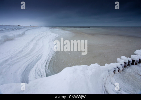 schneebedeckte Sporn Deich, Darß, Wustrow, Mecklenburg-Vorpommern, Deutschland Stockfoto