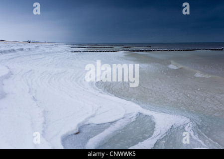 schneebedeckte Sporn Deich, Darß, Wustrow, Mecklenburg-Vorpommern, Deutschland Stockfoto