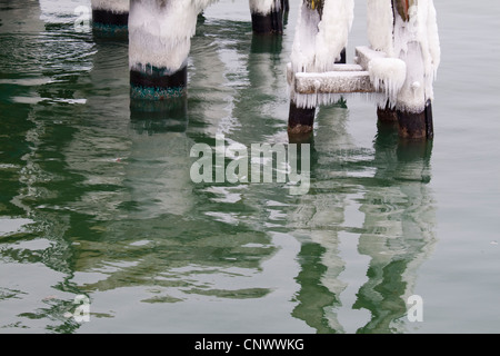 schneebedeckte Sporn Deich, Darß, Wustrow, Mecklenburg-Vorpommern, Deutschland Stockfoto