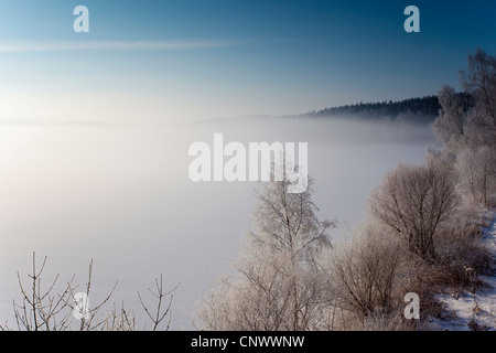 Winterlandschaft in Morgen Nebel, Deutschland, Sachsen, Vogtland Stockfoto