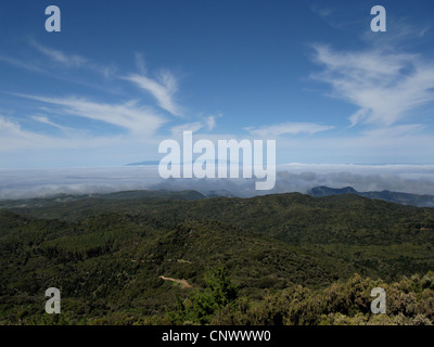 Blick vom Alto de Garajonay, der Lorbeerwald und La Palma, Kanarische Inseln, Gomera, Garajonay-Nationalpark Stockfoto