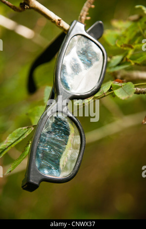 Brille im Wald Stockfoto