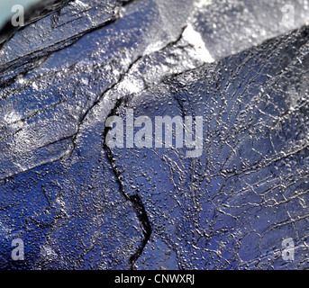 blaue Halit Stockfoto