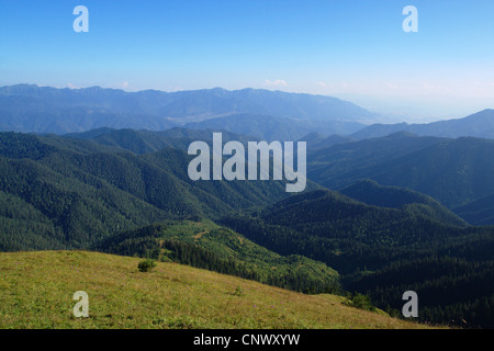 Landschaft in Borjomi-Kharagauli Nationalpark, Georgien, Kaukasus, weniger davor, Borjomi-Kharagauli Nationalpark Stockfoto