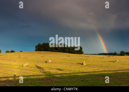 Regenbogen über einem abgeernteten Feld mit Haybales, Deutschland, Sachsen Stockfoto