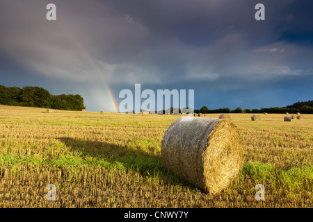 Regenbogen über ein Stoppelfeld mit Heuballen, Deutschland, Sachsen Stockfoto