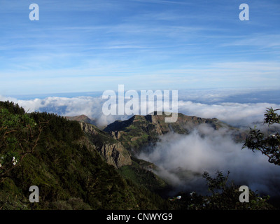 Blick vom Mirador Tajaque die Wolkendecke über den Süden von Gomera, Kanarische Inseln, Gomera Stockfoto