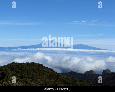 Blick auf Teneriffa mit dem Teide vom Alto de Garajonay, höchster Berg von Gomera, Los Roques in Vordergrund, Gomera, Kanarische Inseln, Nationalpark Garajonay Stockfoto