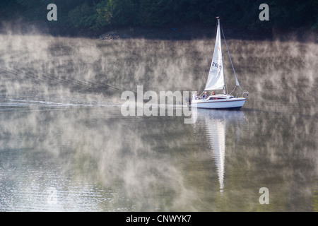 Segelboot auf dem See in Morgen Nebel, Deutschland, Sachsen, Bleiloch-Talsperre Stockfoto