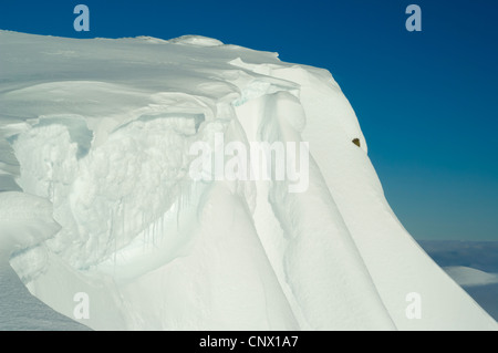 Gesimse auf Ben Macdui (Stob Coire Sputan Dearg, 1249 m) Stockfoto