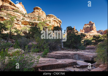 Nadeln rock Formation und Wanderweg im Needles District, Canyonlands National Park, Utah, USA Stockfoto