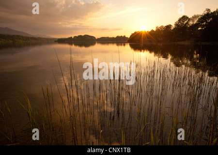 See-Staffelsee, Ansicht von Westen am See bei Sonnenuntergang, Deutschland, Bayern, Staffelsee Stockfoto