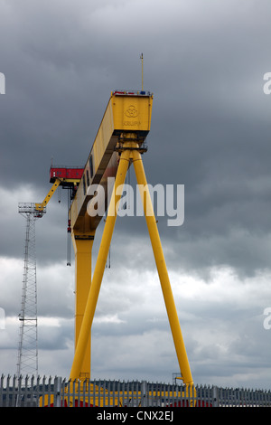 einer der beiden Harland und Wolff Wahrzeichen Belfast Portalkräne, genannt Samson & Goliath Stockfoto