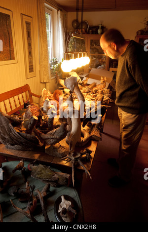 älterer Mann stehend in einem Raum vor Tabellen voller ausgestopfter Tiere und Jagdtrophäen Stockfoto