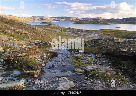 Hardangervidda im Sommer, farbigen Fluss (Norwegen) Stockfoto