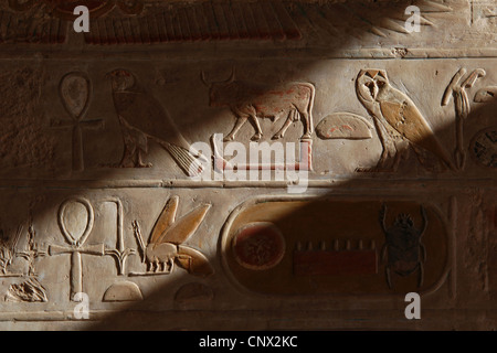 Ägyptische Hieroglyphen. Relief in der Leichenhalle Tempel der Königin Hatshepsut in Deir el-Bahari in der Nähe von Luxor, Ägypten. Stockfoto