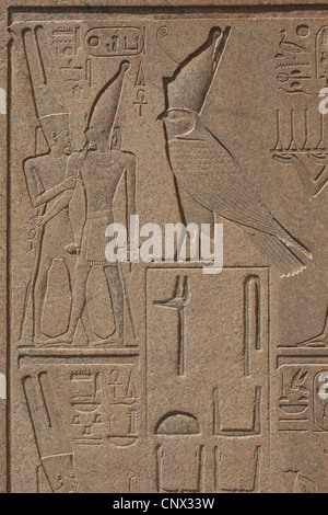 Gott Horus. Relief in der deinstallierten Obelisk der Königin Hatshepsut im Karnak-Tempel-Komplex in Luxor, Ägypten. Stockfoto