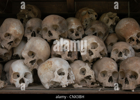 Menschliche Schädel von Opfern des Regimes der Roten Khmer die Killing Fields in Choeung Ek in der Nähe von Phnom Penh, Kambodscha. Stockfoto