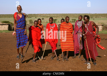 Masai Männer, die einen traditionellen Tanz, Kenia, Masai Mara Nationalpark Stockfoto