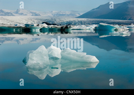 Glazial-See Joekulsarlon voll von schmelzendem Eis vor Gletscher Breidamerkurjoekull, Island Stockfoto