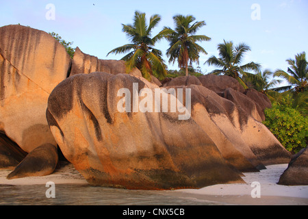 Granit-Bildung am Strand Anse Grande Source, Seychellen, La Digue Stockfoto