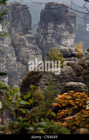 Sandstein Felsen bei Bastei, Deutschland, Sachsen, Nationalpark Sächsische Schweiz Stockfoto
