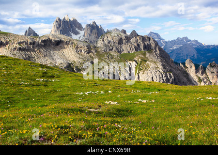 Cardini Gruppe Cadini di Misurina, südlichen Teil der Dolomiten, Italien, Südtirol, Dolomiten Stockfoto