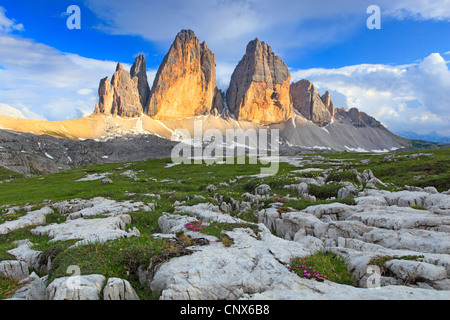 beeindruckende Gebirgsbildung "The Tre Cime di Lavaredo" ("Drei Zinnen" / "Big Peak" 2999 m) im Morgenlicht, Italien, Südtirol, Dolomiten Stockfoto