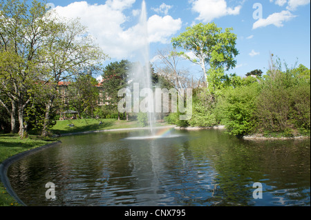 Teich mit Springbrunnen im Türkenschanzpark, Wien, Österreich