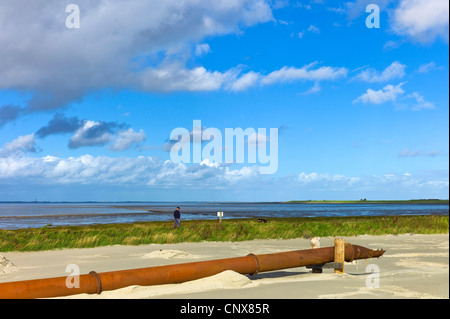 Blick über eine Spülung Feld für Landgewinnung und das Wattenmeer auf der Insel Norderney, Deutschland, Niedersachsen, Ostfriesland, Norddeich Stockfoto