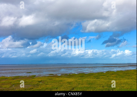 Blick über das Wattenmeer auf der Insel Norderney, Deutschland, Niedersachsen, Ostfriesland, Norddeich Stockfoto