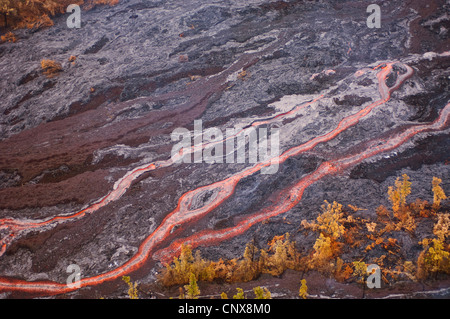 Lava fließt vom Kilauea Vulkan, USA, Hawaii, Hawaii Volcanoes National Park Stockfoto