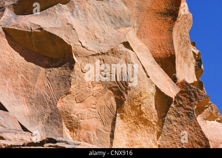 Felsgravuren von verschiedenen Wildtieren in die steinerne Wüste Wadi Mathendous, Libyen, Sahara Stockfoto