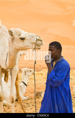 Dromedar, einen buckligen Kamel (Camelus Dromedarius), Mann mit ruhenden Dromedare vor drohenden Sanddünen, Libyen, Sahara, Germa Stockfoto