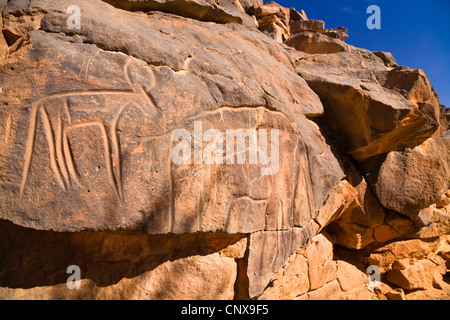 Rock-Gravur von einer Antilope in die steinerne Wüste Wadi Mathendous, Libyen, Sahara Stockfoto