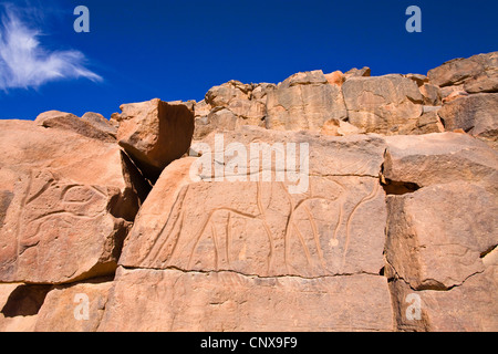 Rock-Gravur von einer Löwin in die steinerne Wüste Wadi Mathendous, Libyen, Sahara Stockfoto