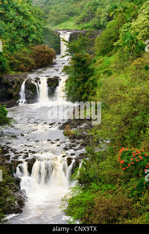 Umauma Falls, USA, Hawaii, Welt Botanischer Garten, Hilo Stockfoto