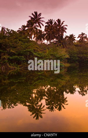 Punaluu Strand, Black Sand Beach, USA, Hawaii Stockfoto