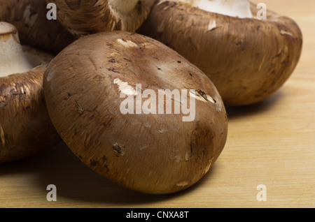 Portobello-Pilze auf Schneidebrett angeordnet Stockfoto